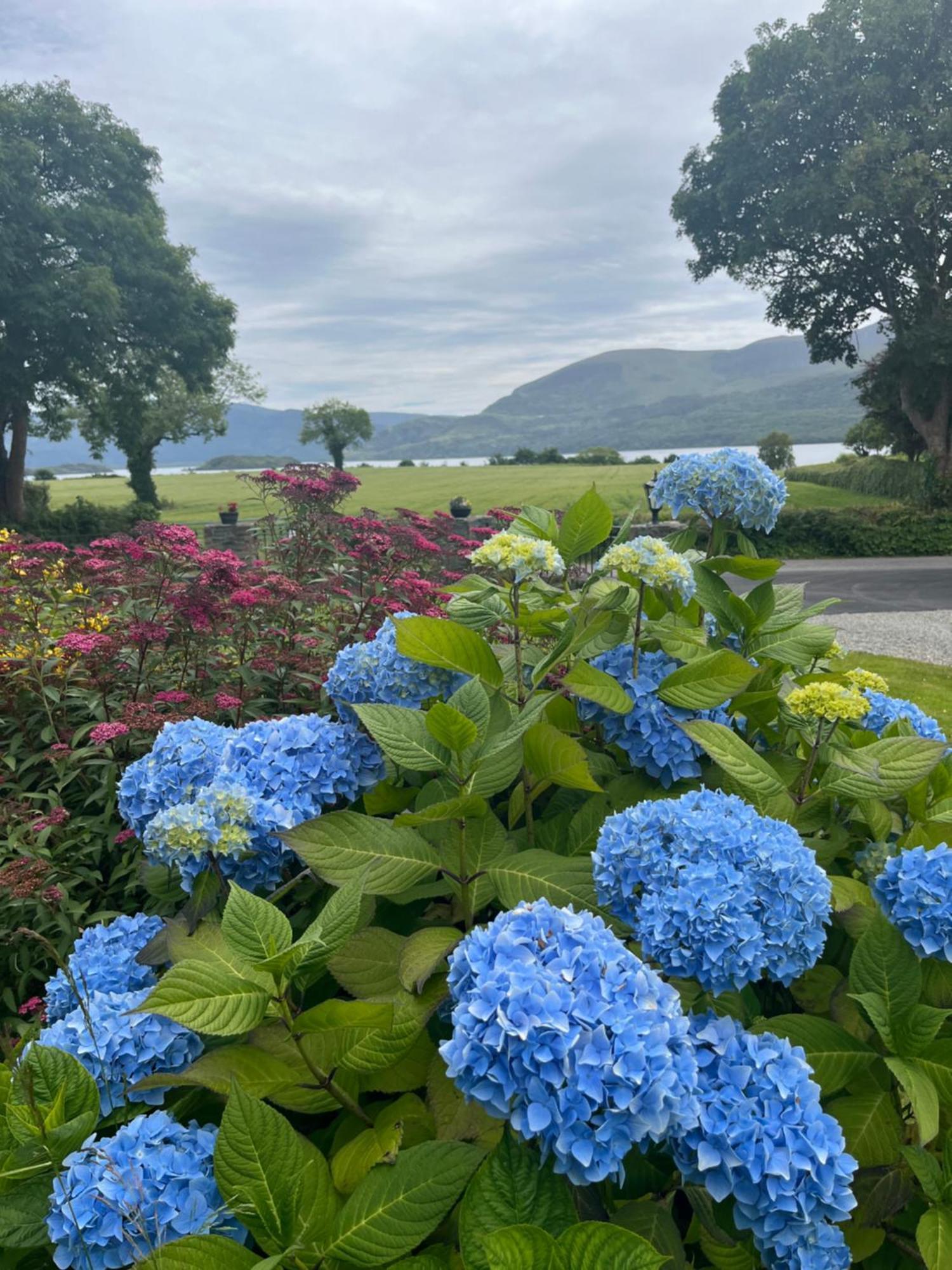 Loch Lein Country House Killarney Eksteriør billede